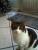 BOB's Photo