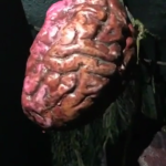 Brains!!!